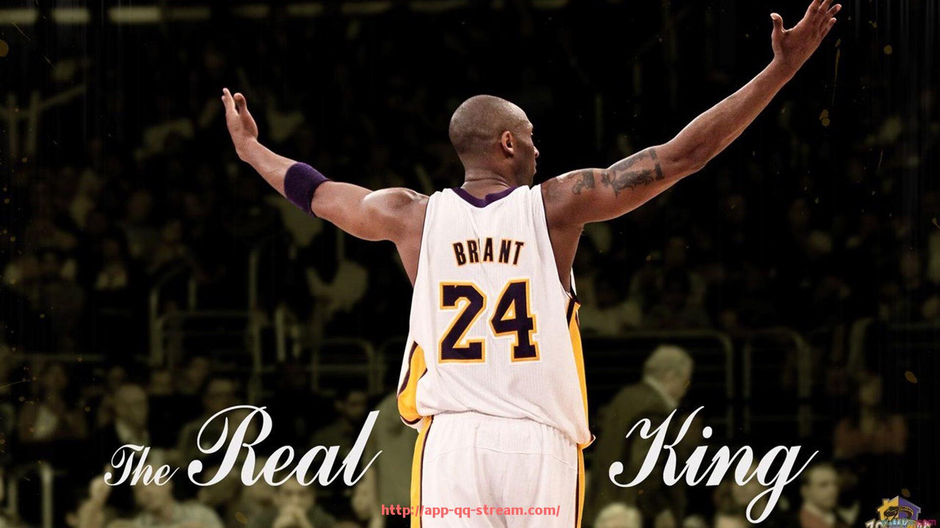 企鹅直播-法甲球队赛季目标分析及未来规划展望